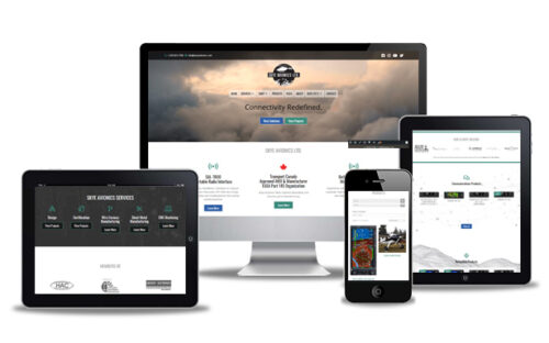 avionics website